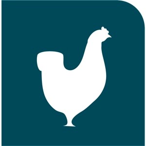 naar de site